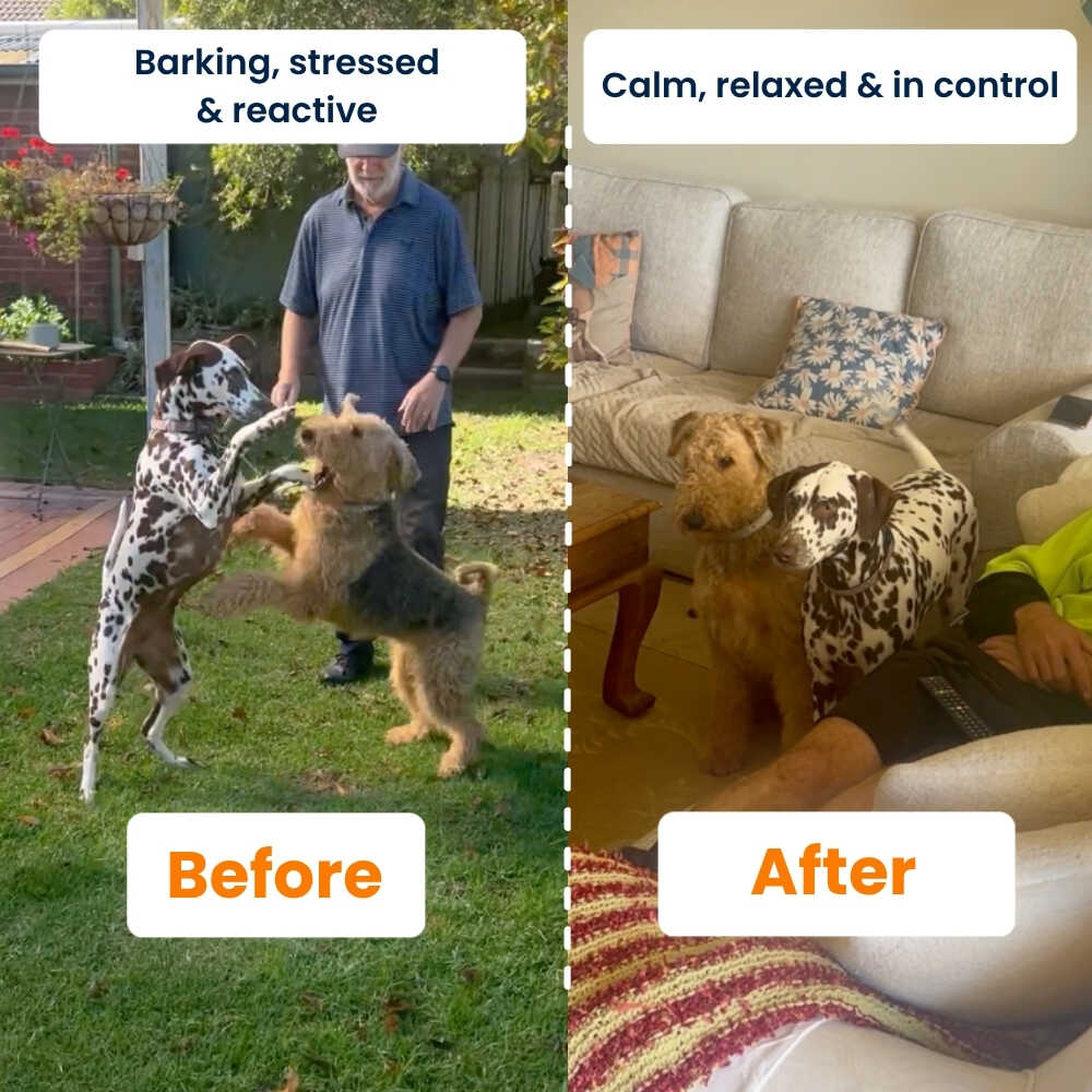 BarkHero™ 2.0