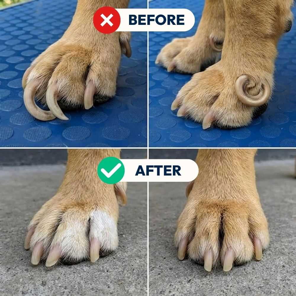 Nail Care Pro