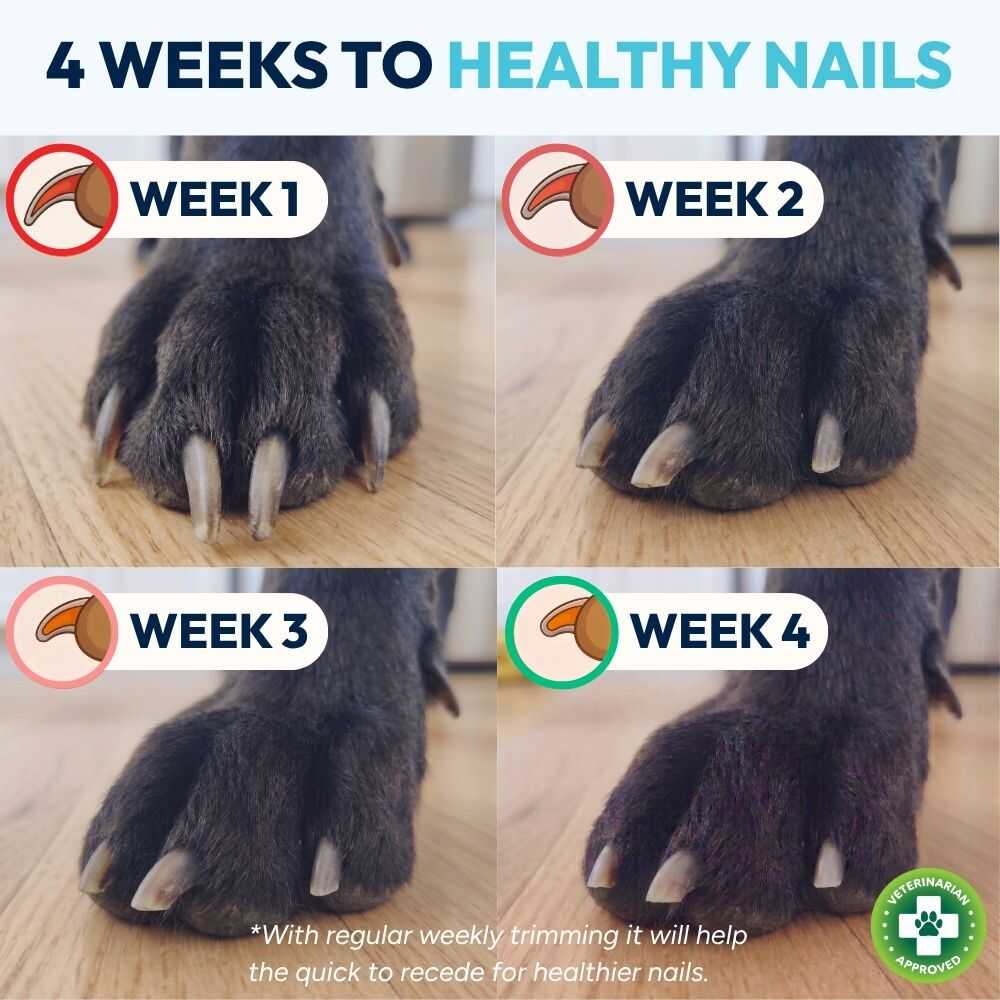 Nail Care Pro
